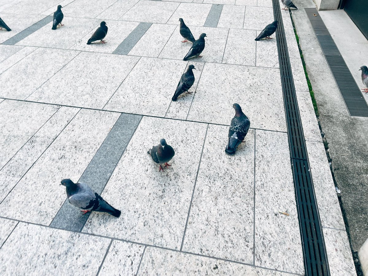 アラタページ*.゜ arata (@aratalta) / X