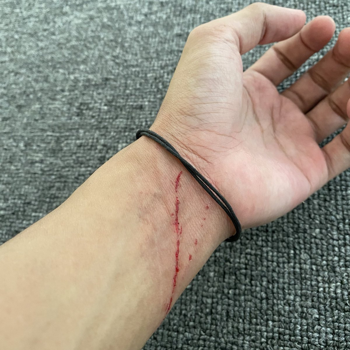 drowzeesh's tweet image. the art                                 the artist