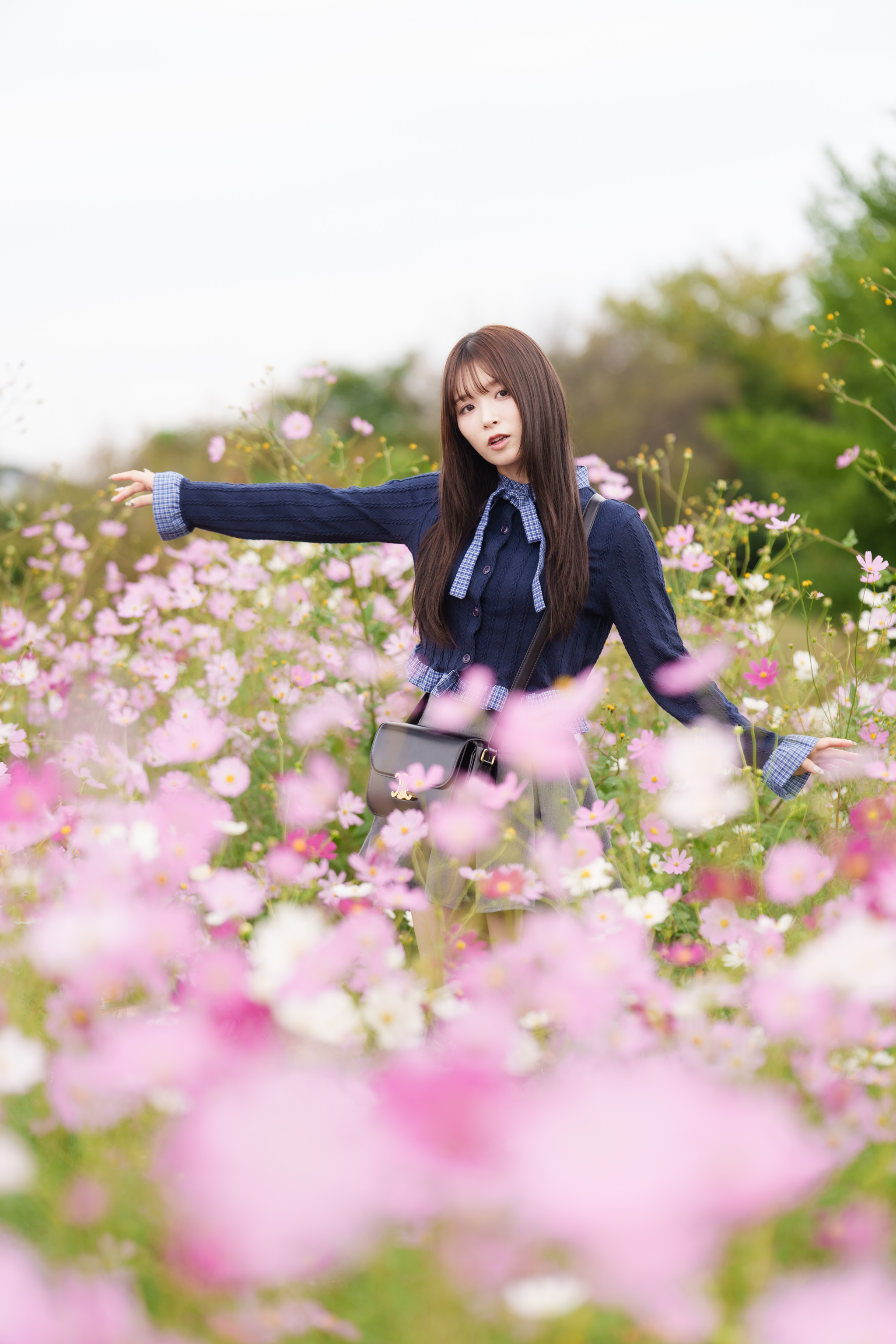 ♡味醂♡ 四花味醂 on X: 