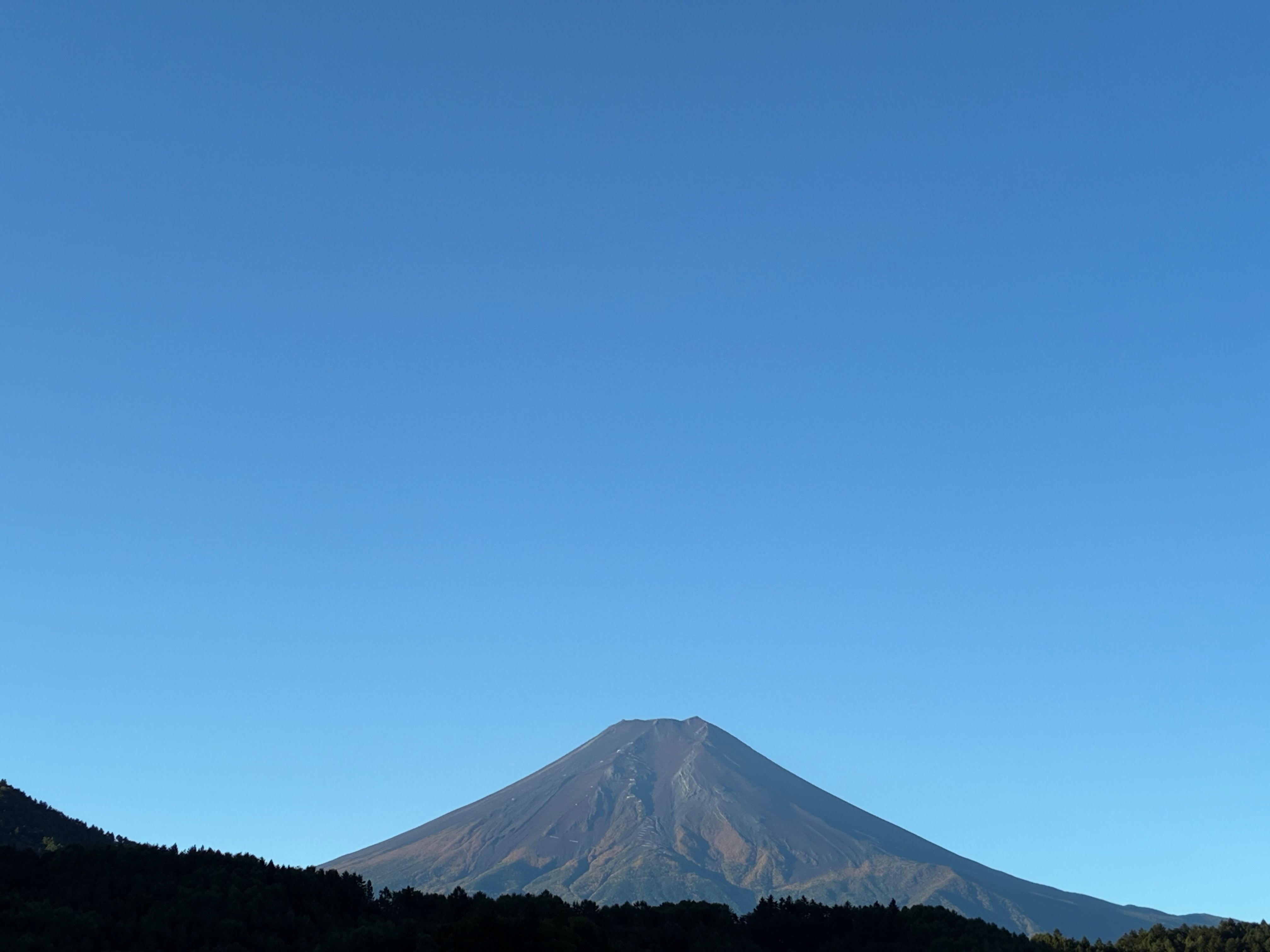 富士五湖観光連盟 on X: 