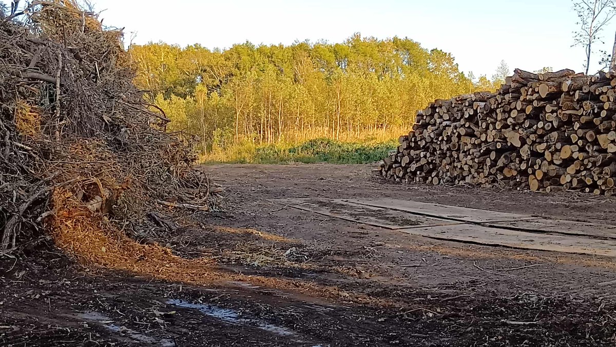 いよいよ本格的工事が始まった。ソーラーパネル設置の数は１６ヘクタールの面積に２万枚を超える大工事！