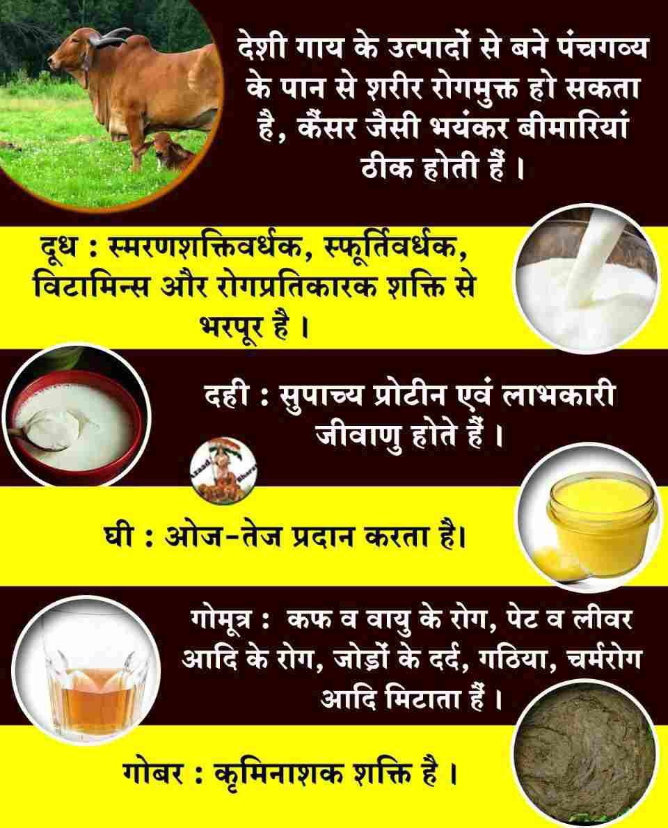 𝓐𝓼𝓱𝔀𝓲𝓷𝓲 𝓟𝓪𝓽𝓮𝓵 (@ashwinipatel73) on Twitter photo <a href="/AshramJodhpur/">Ashram Jodhpur</a> Sant Shri Asharamji Bapu ने सरकार को एक पत्र लिखा और उन्होंने संदेश दिया कि
Gau Mata के पालन से पर्यावरण सुरक्षा तो होगी साथ ही देश की अर्थव्यवस्था भी मजबूत होगी।
Desi Gau Ke Labh को ध्यान में रखते हुए सरकार को गौपालन पर जोर देना चाहिए।
#GauSewa <a href="/AshramJodhpur/">Ashram Jodhpur</a> Sant Shri Asharamji Bapu ने सरकार को एक पत्र लिखा और उन्होंने संदेश दिया कि
Gau Mata के पालन से पर्यावरण सुरक्षा तो होगी साथ ही देश की अर्थव्यवस्था भी मजबूत होगी।
Desi Gau Ke Labh को ध्यान में रखते हुए सरकार को गौपालन पर जोर देना चाहिए।
#GauSewa