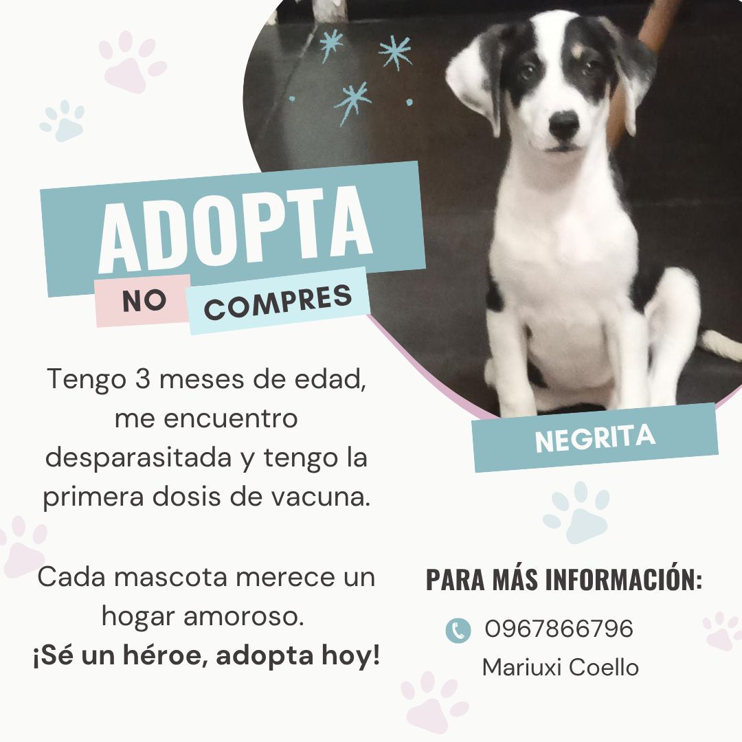 EmergenciasEc's tweet photo. #AyudaSocial https://t.co/k04qACE67K