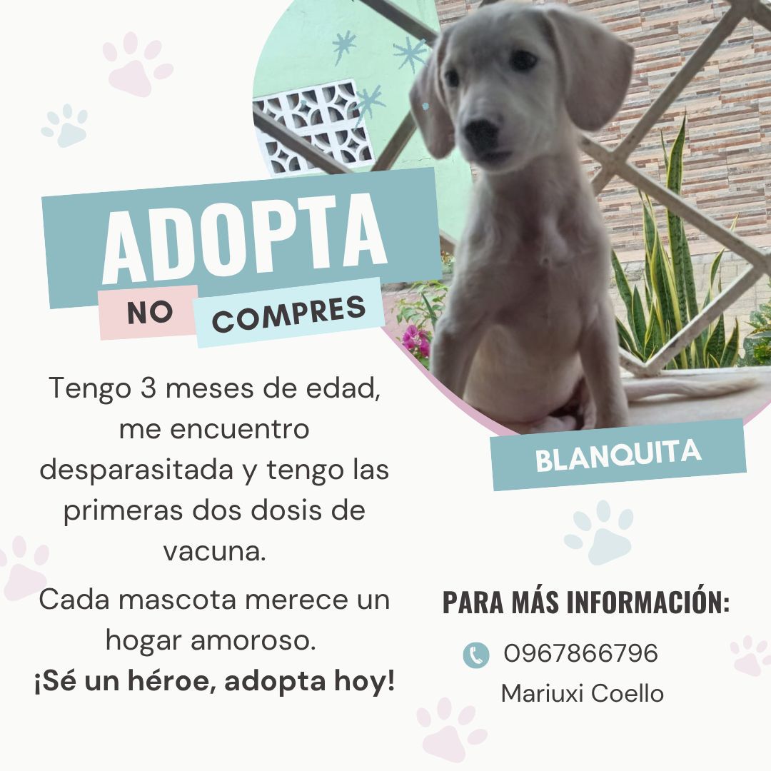 EmergenciasEc's tweet photo. #AyudaSocial https://t.co/k04qACE67K