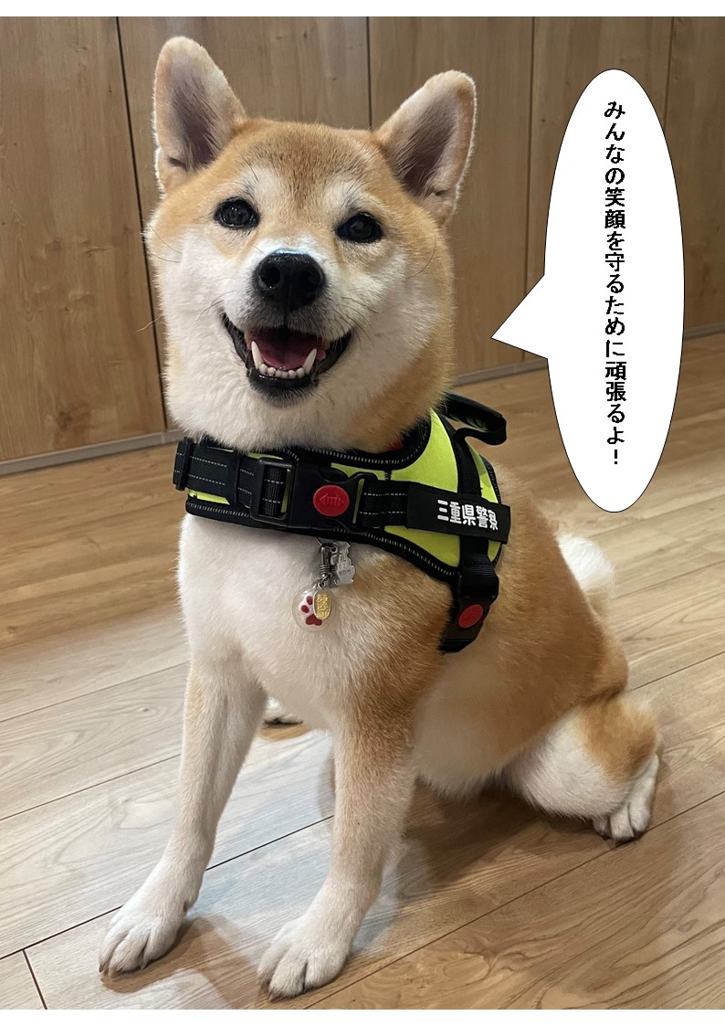 🐾犯罪抑止対策犬ゆきの自己紹介🐾 名前：ゆき（漢字表記は「幸」） 犬