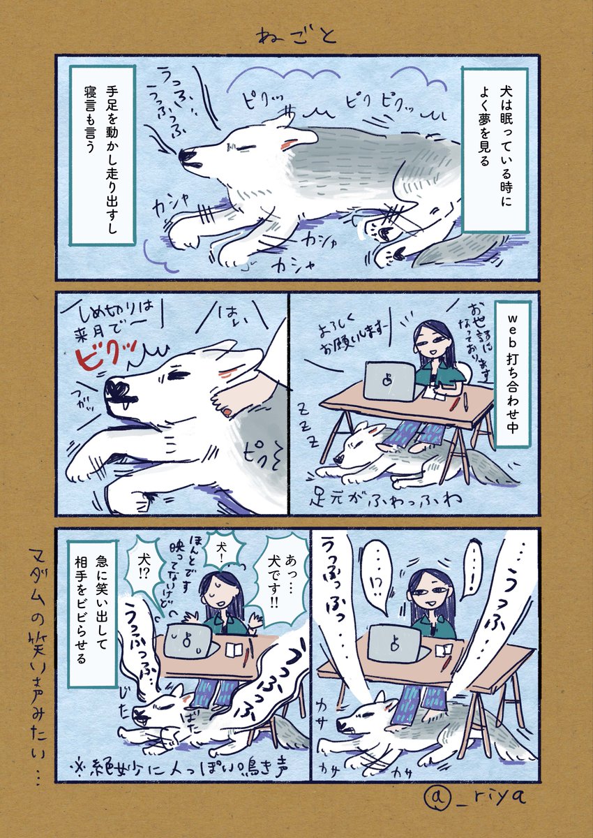 _riya's tweet image. デカい狼犬との日常🐺
「ねごと」
犬のねごとっていいよね
