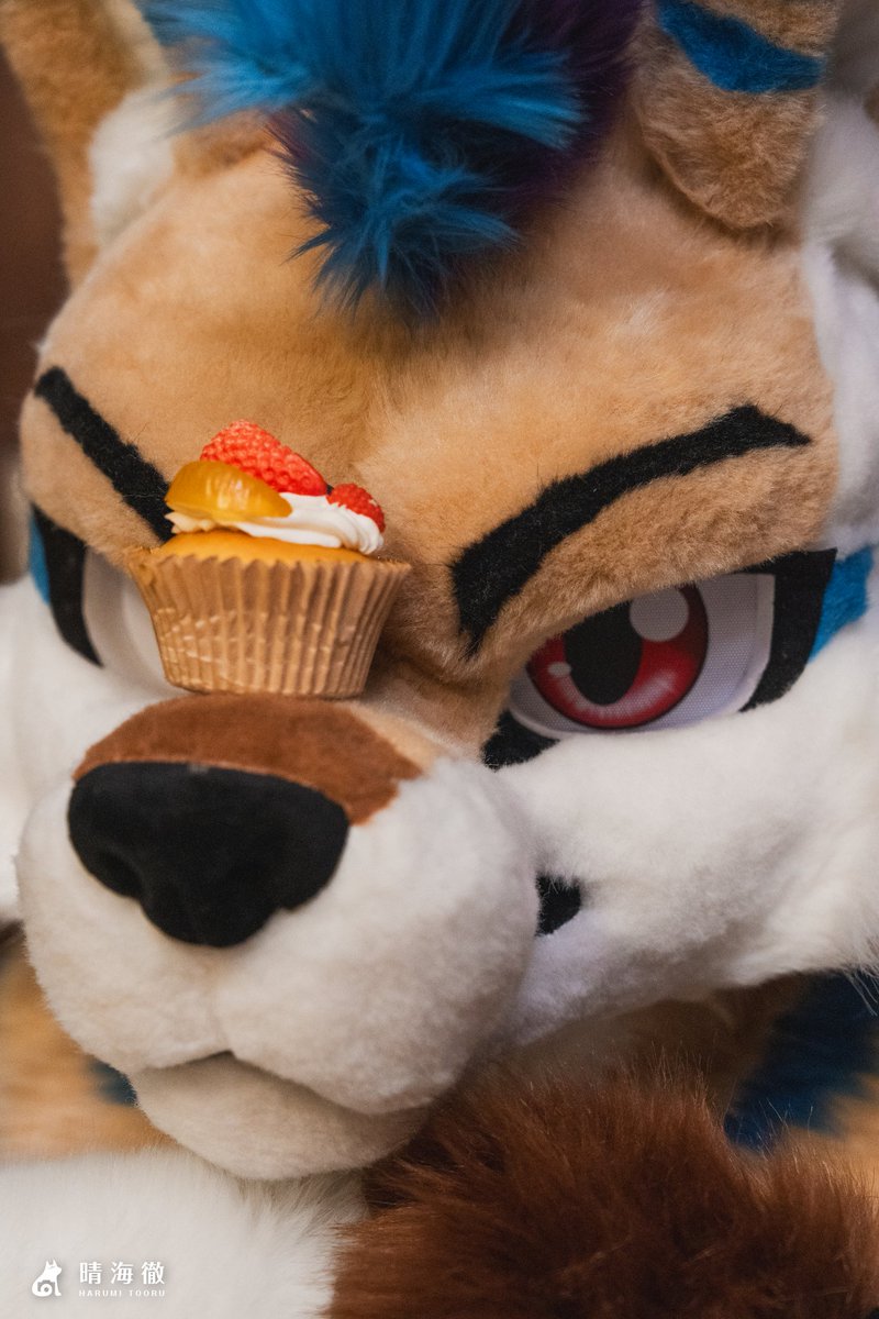 你說還不可以吃是什麼意思🤤
------
📷： <a href="/tooruche/">晴海徹 (はるみ とおる) 寫真系Vtuber🔜獸無限</a>
🪡： <a href="/magichxh/">黑猫クロネコ</a>
#FursuitFriday #Fursuit #毛毛星期五 #小徹在攝攝