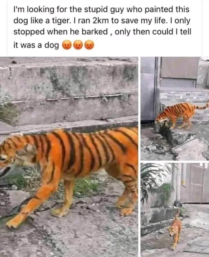 KyleDavidSOS's tweet image. When you have Jamarr Chase and Tee Higgins on 3rd and 18 but run it for 1 yard