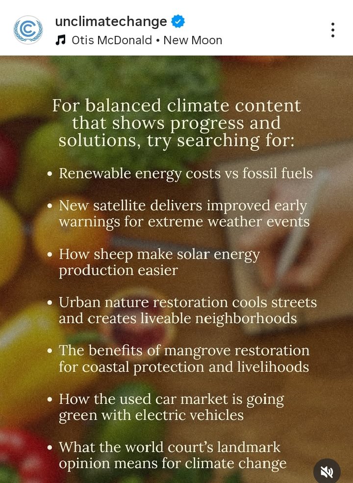 zumjidechi's tweet image. we are intentional about issues surrounding our lives.

#climateissues