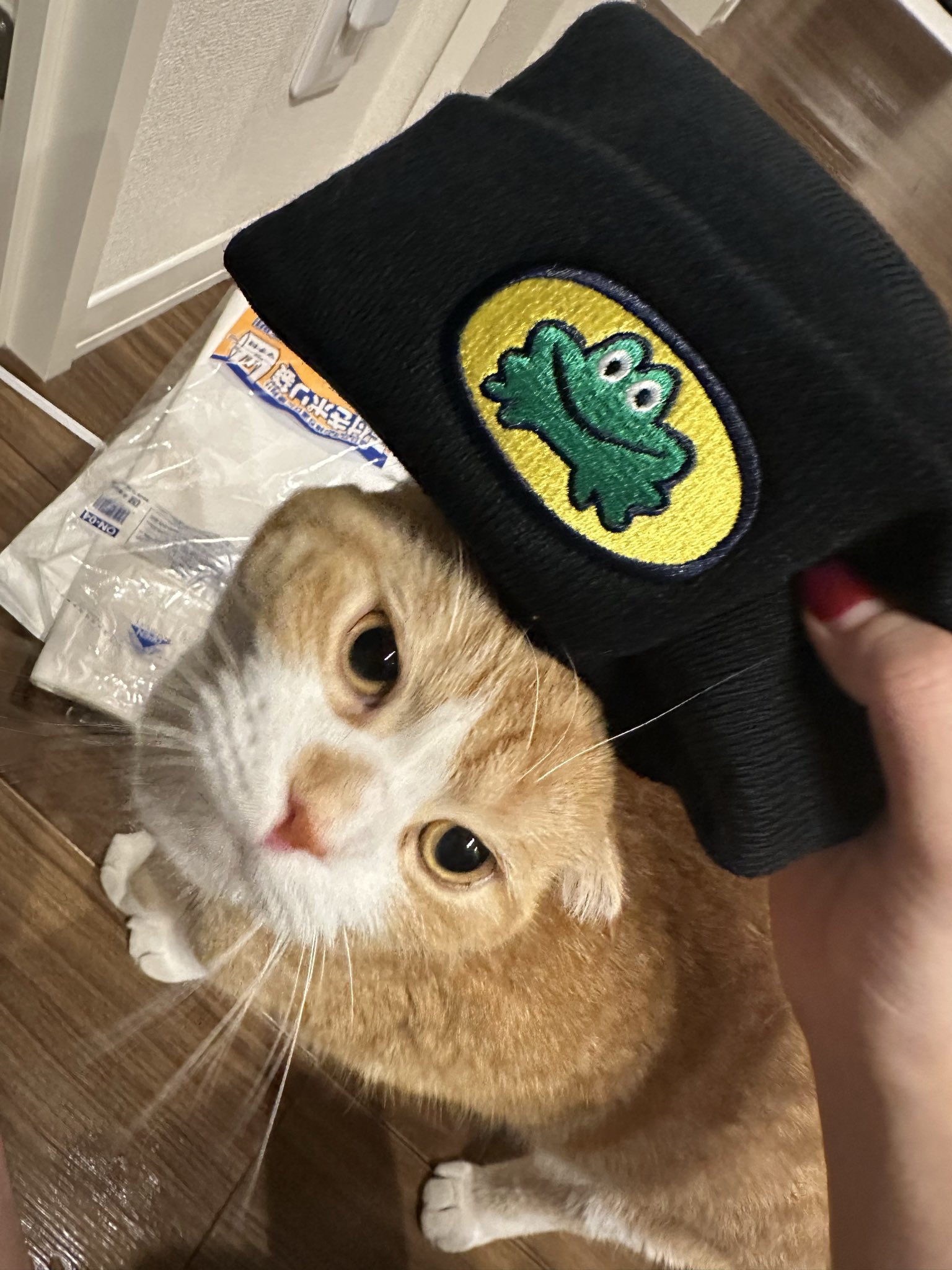 G　パラッパ・ザ・ラッパー パラッパラッパー』ローンチトレーラー - YouTube