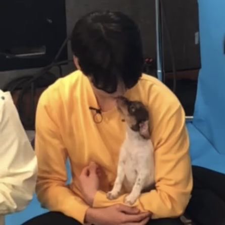 koogifs's tweet photo. :( https://t.co/9s8wqHQLkj