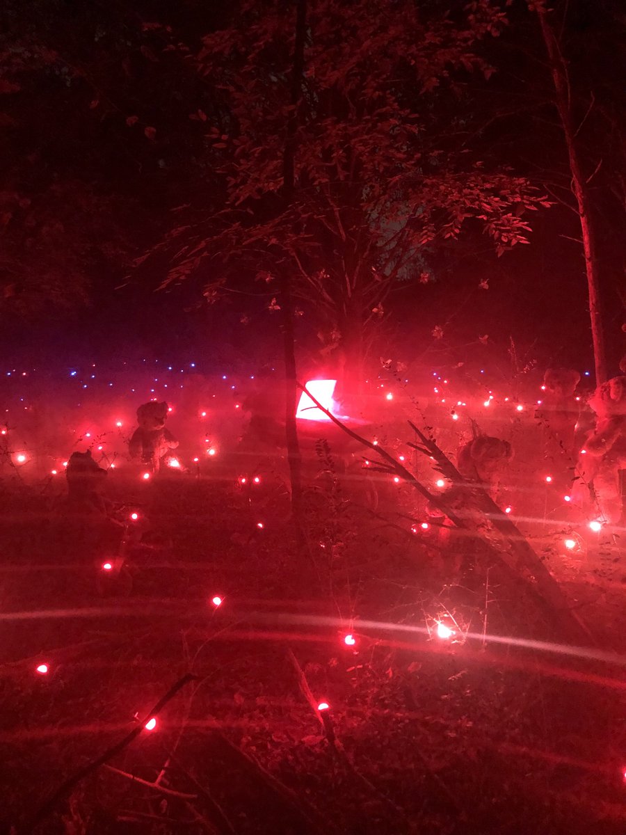 Forest of Shadows in Texas. We had a blast