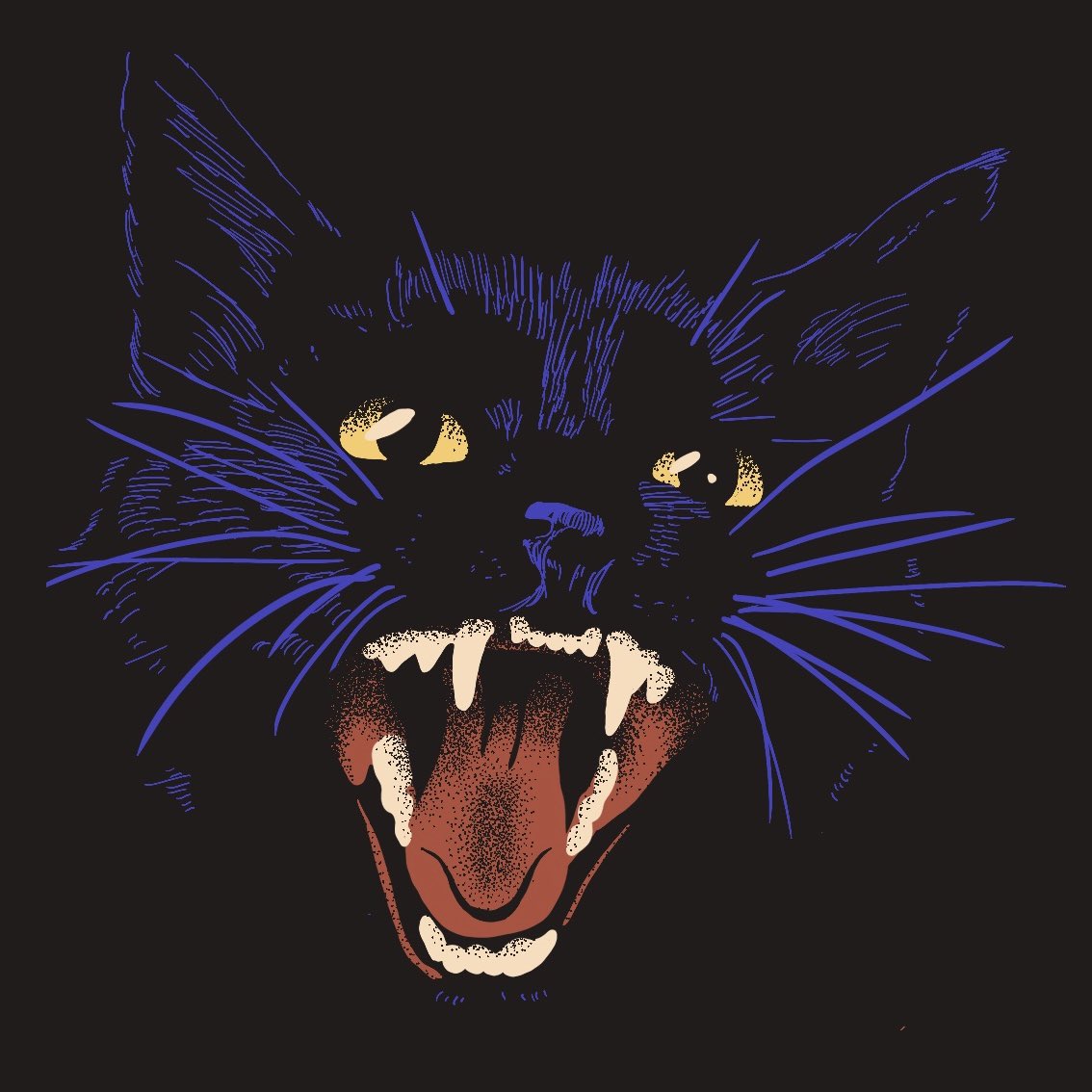 Good night, strays ✨