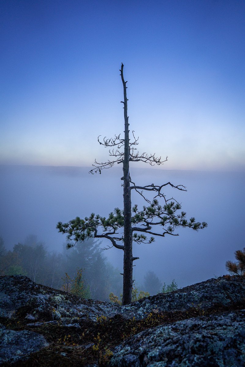 Intotheframes's tweet image. گاهی عکاسی از طبیعت همینقدر سورئال میشه! 
میتونم دقایق زیادی محو این تصویر بشم و عین یه پرتال منو پرت کنه به لحظه ی ثبت! خصوصا دقایقی بعد از نیمه شب…