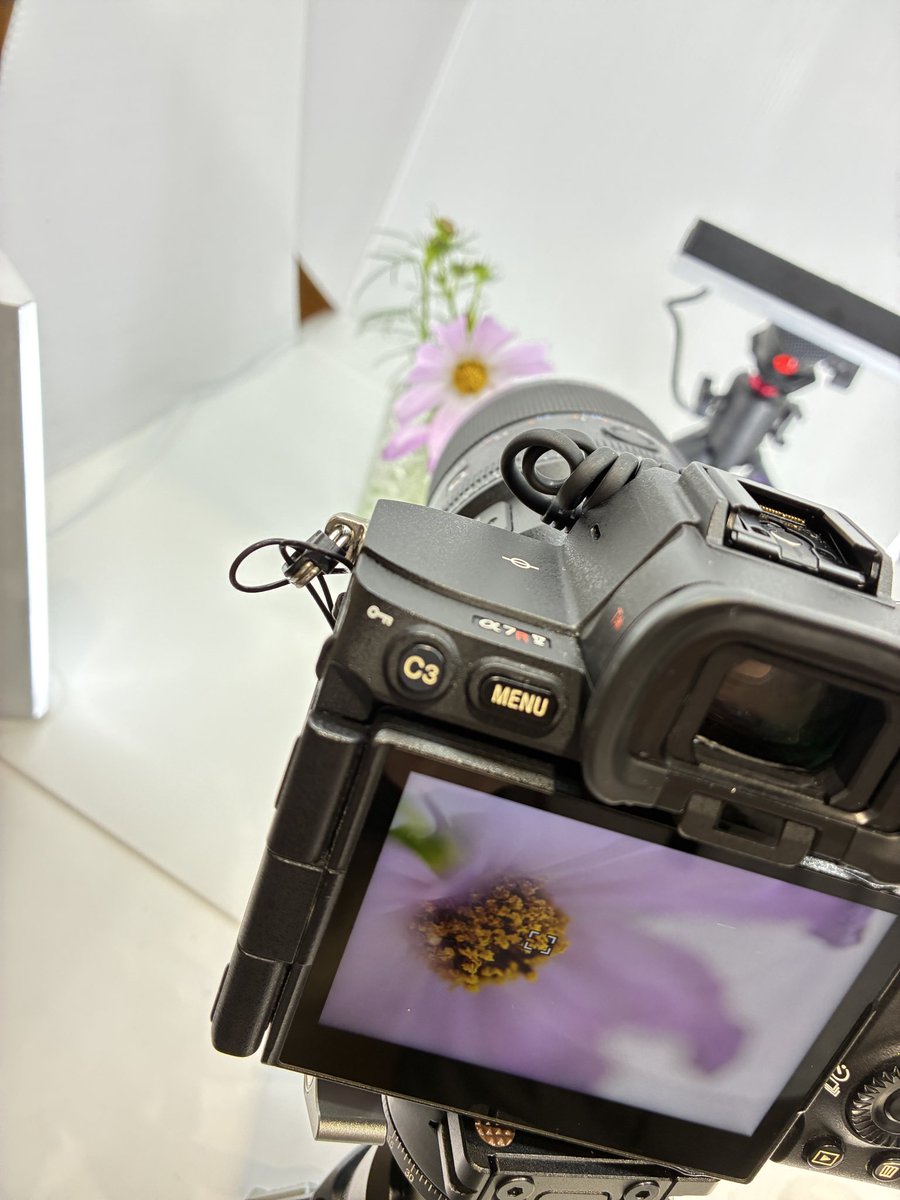 ゆかページ 写真家 加藤ゆか on X