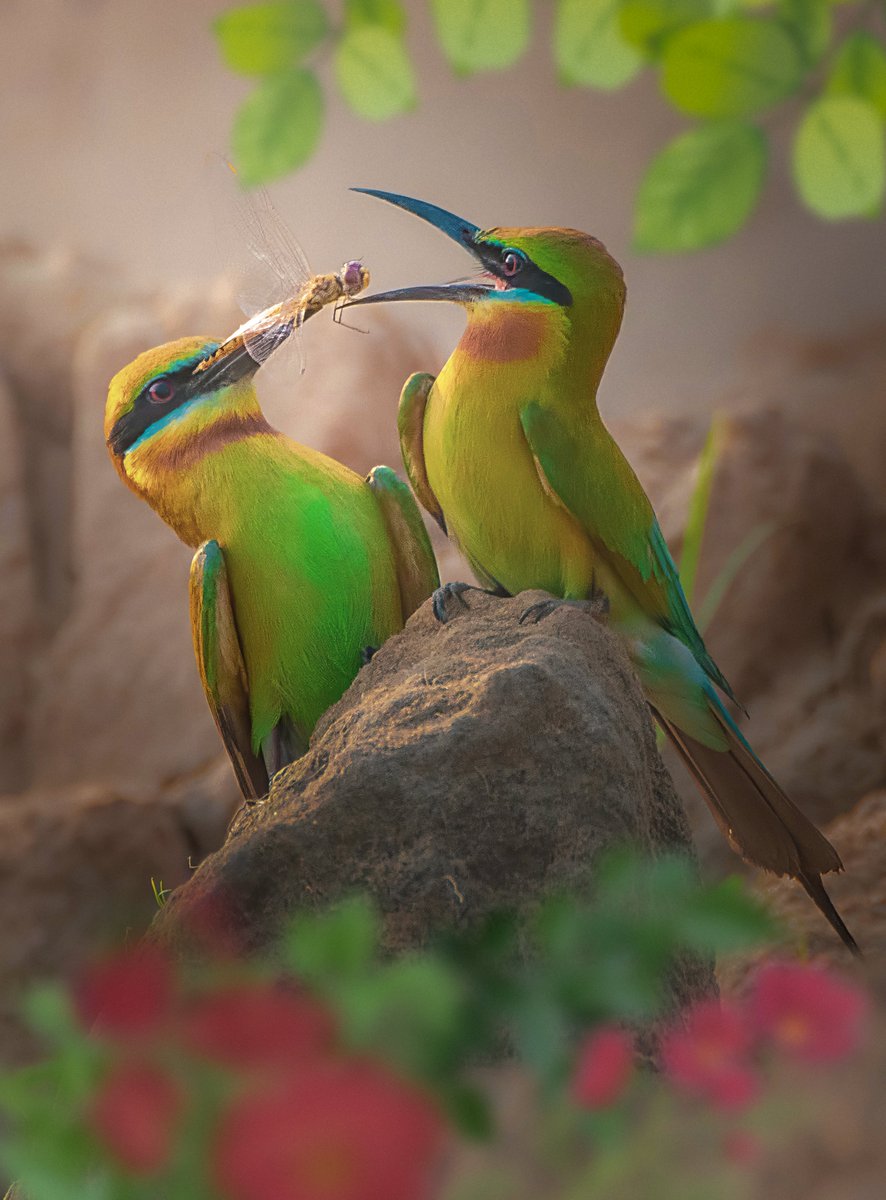 Tweet media one