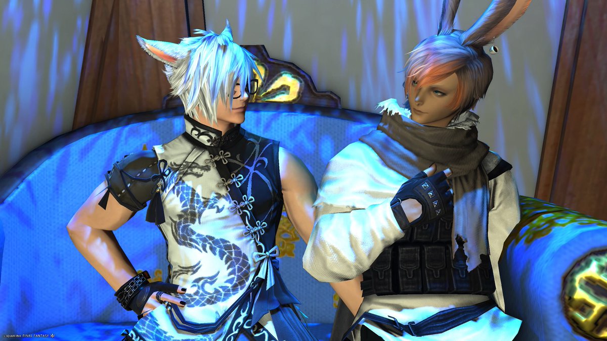 仲良し猫鍋♡ さかな on X