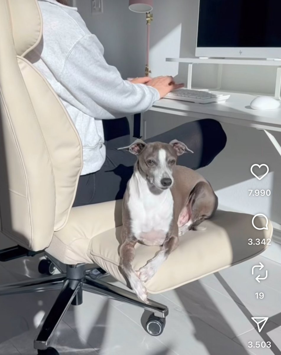 agusrecomienda's tweet image. Necesito esta silla 😭