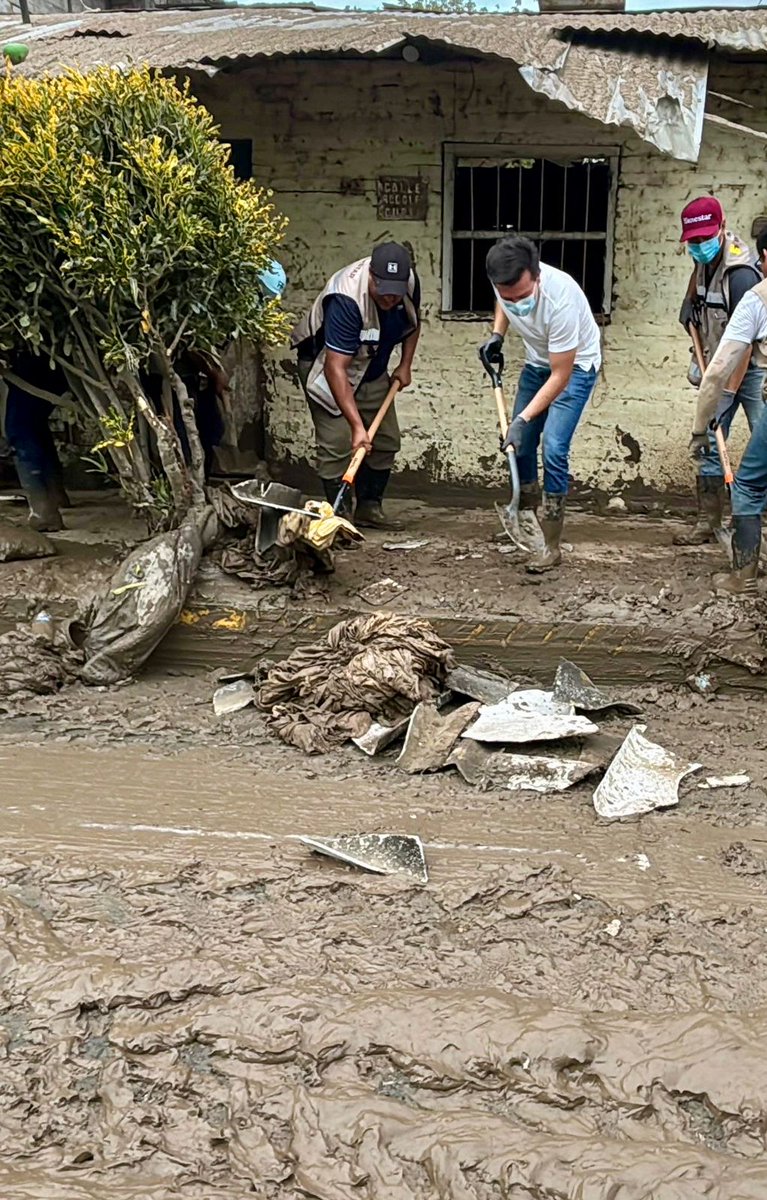 Los Políticos Veracruz tweet media