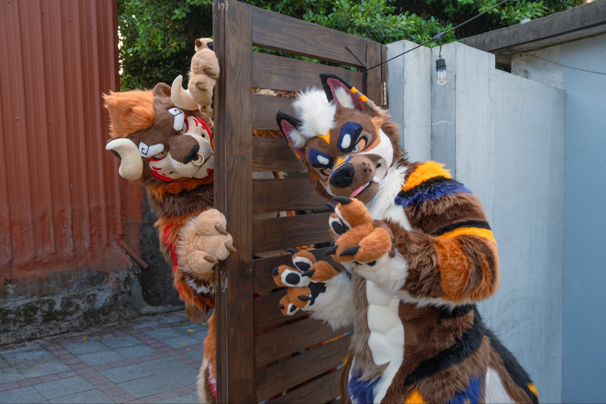 Shh! I’m gonna jump out and scare him later!😋

<a href="/Akkad_Lion/">阿卡德 Akkad 🦬🦁🔜 Infurnity🐾</a> : (staring…)

シーッ！あとで飛び出して驚かせちゃうよ！
Akkad：(じーっ…)
#kigurumikagetsu #FursuitEveryday
#FursuitFriday 
📸 ： <a href="/arkross1999/">Arkrose</a>