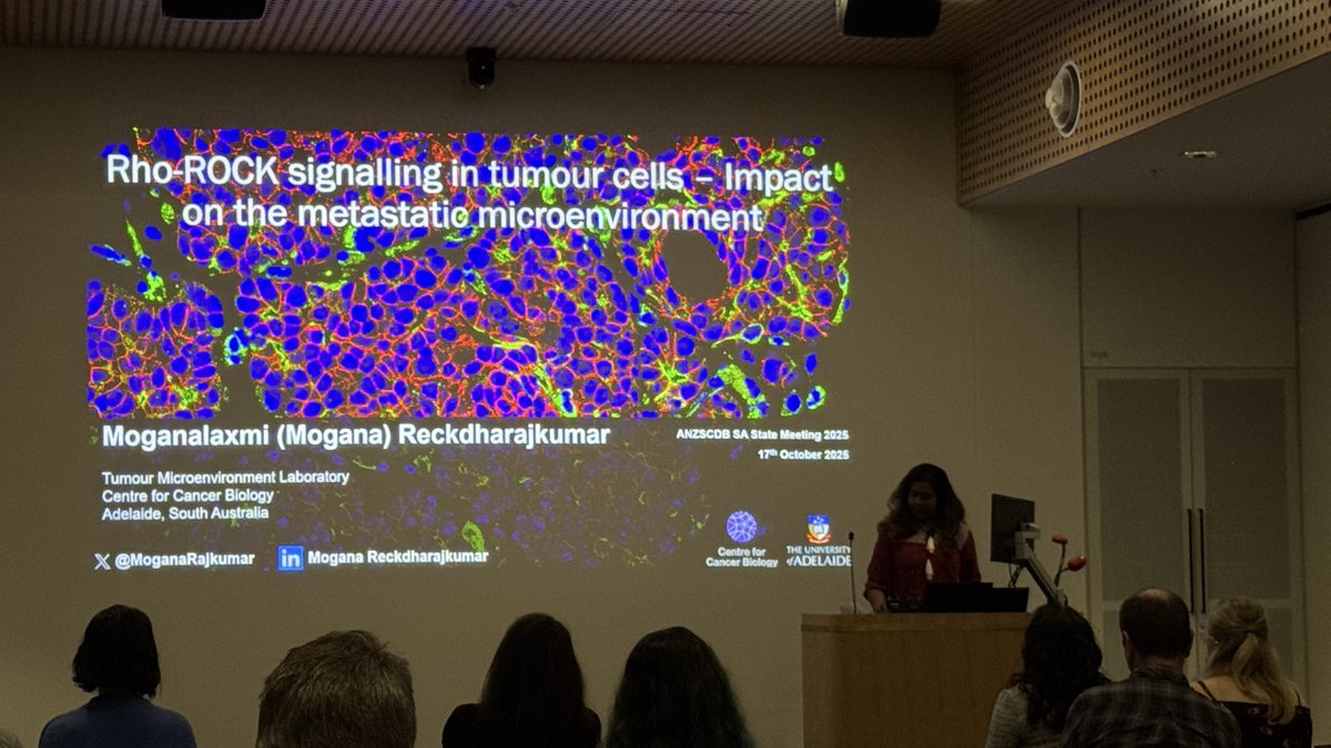 Makoto Kamei tweet media
