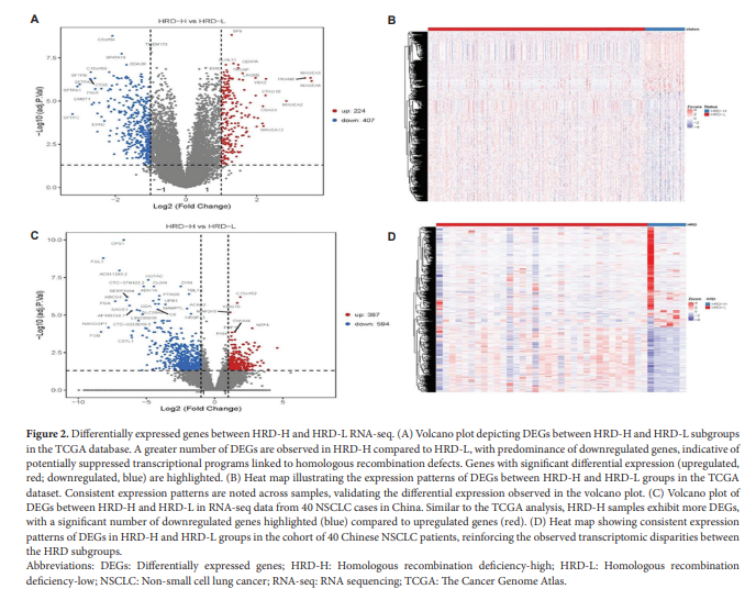 TD_ASP's tweet photo. 🥳New Original Research Article: Genomic alterations of homologous recombination deficiency in Chinese NSCLC patients

✍️By: Shuang Xiang, etc., Mingzhu Yin, Song Duan 

👀 Here: https://t.co/um5APYDJP2 https://t.co/0oSuZPFhA8