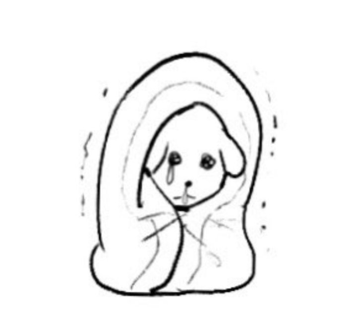 냐 (@or7lblblro) on Twitter photo 