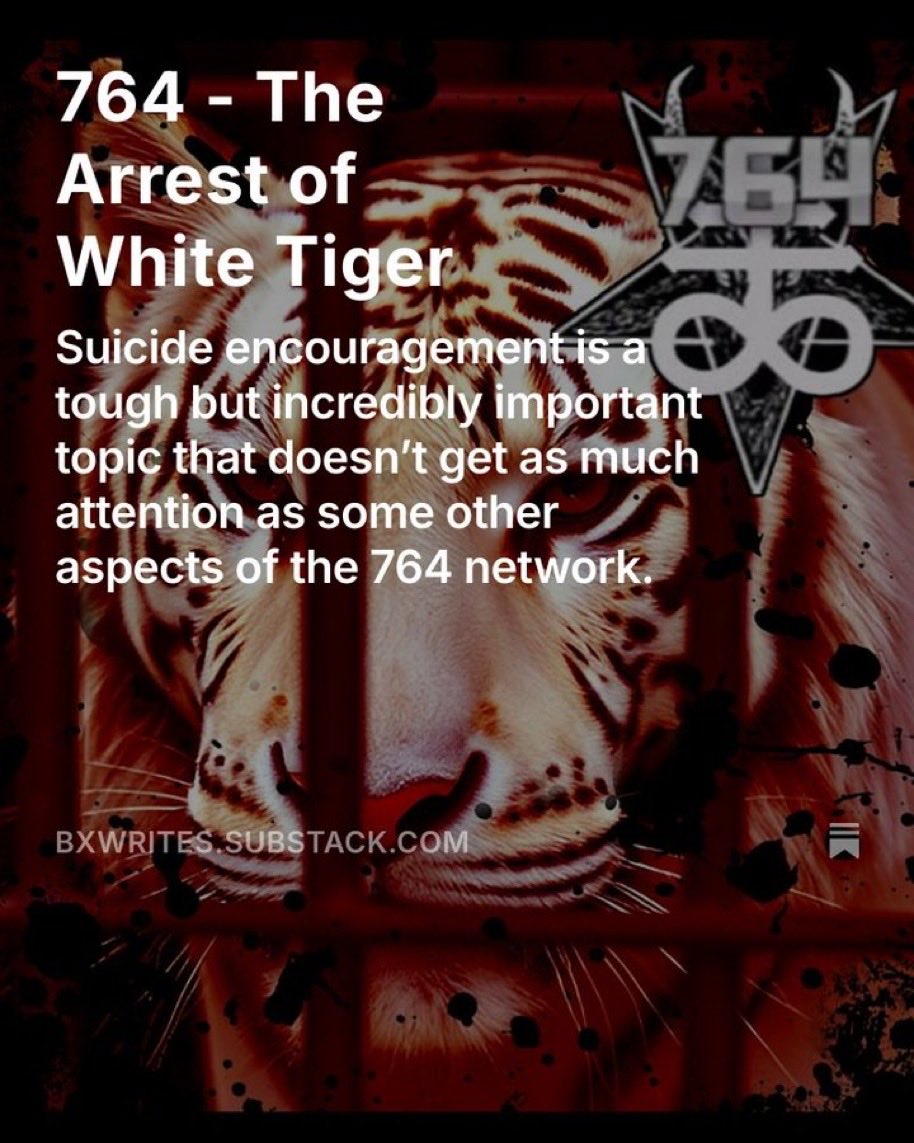 NEW - The German 764 member called “White Tiger” has officially been charged with murder for coercing a 13-year-old American girl to livestream her suicide by hanging. 

The girl, who had recently told her parents she was a transgender boy, was groomed and manipulated by the