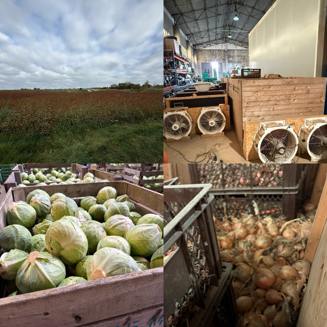 Von saisonalem Anbau zu schwarzem Knoblauch – Energie neu gedacht 🧄⚡

Gestern war ich im wunderschönen Sachsen-Anhalt, wo Tradition auf Innovation trifft.
Hier entsteht eine 2 MW Photovoltaikanlage, die #Bitcoin Mining mit regionaler Landwirtschaft verbindet.

Auf dem Hof