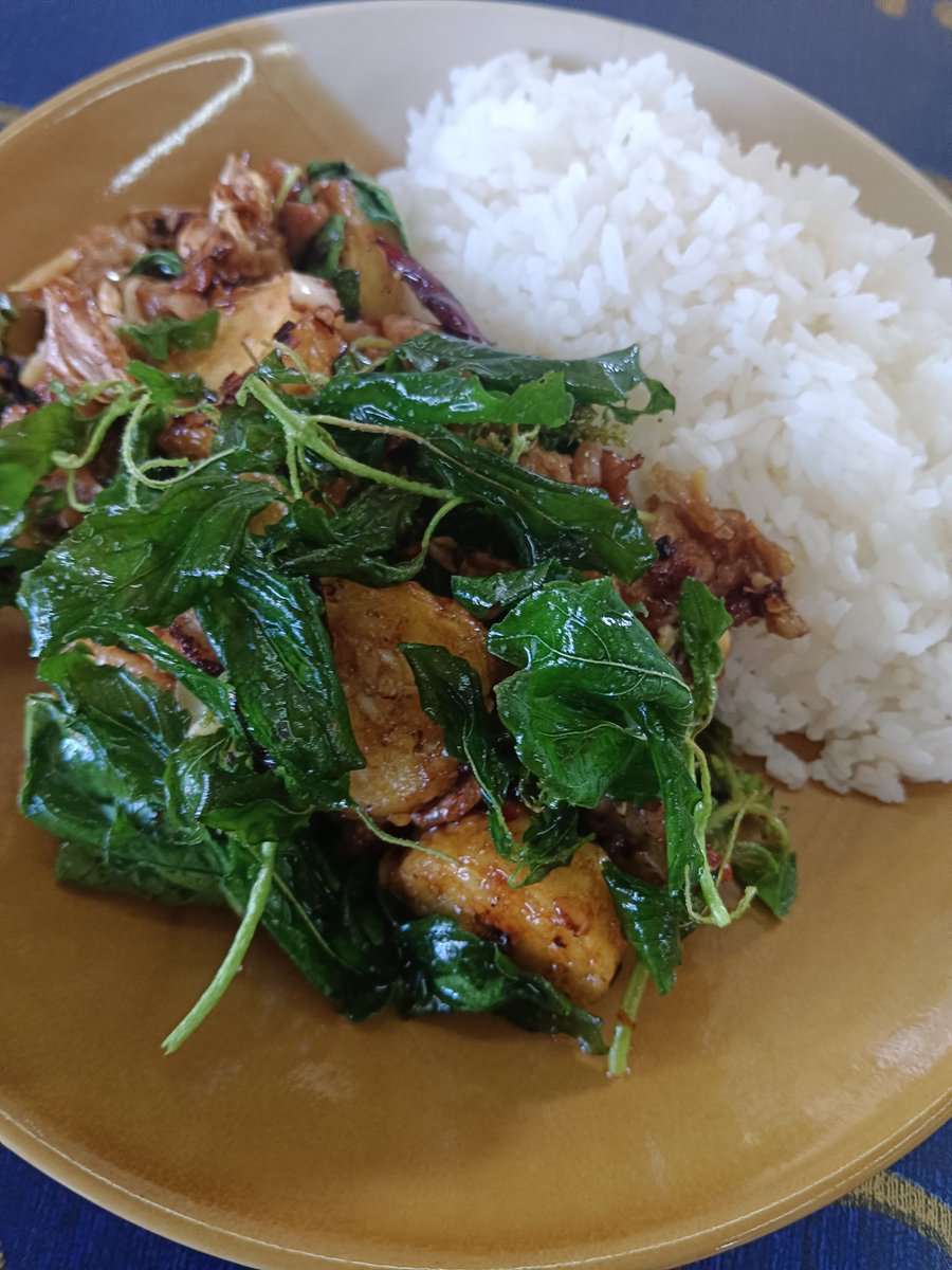 ไปสั่งกะเพราเต้าหู้ไข่กินข้างนอก น่าเสียดายที่เต้าหู้เค้าทอดไว้แล้ว อร่อยแต่ไม่แล้วใจ วันนี้ทำเองทอดใหม่ๆกรอบนอกเนื้อพุดดิ้งร้อนๆ ลวกปากไปดิ 😅