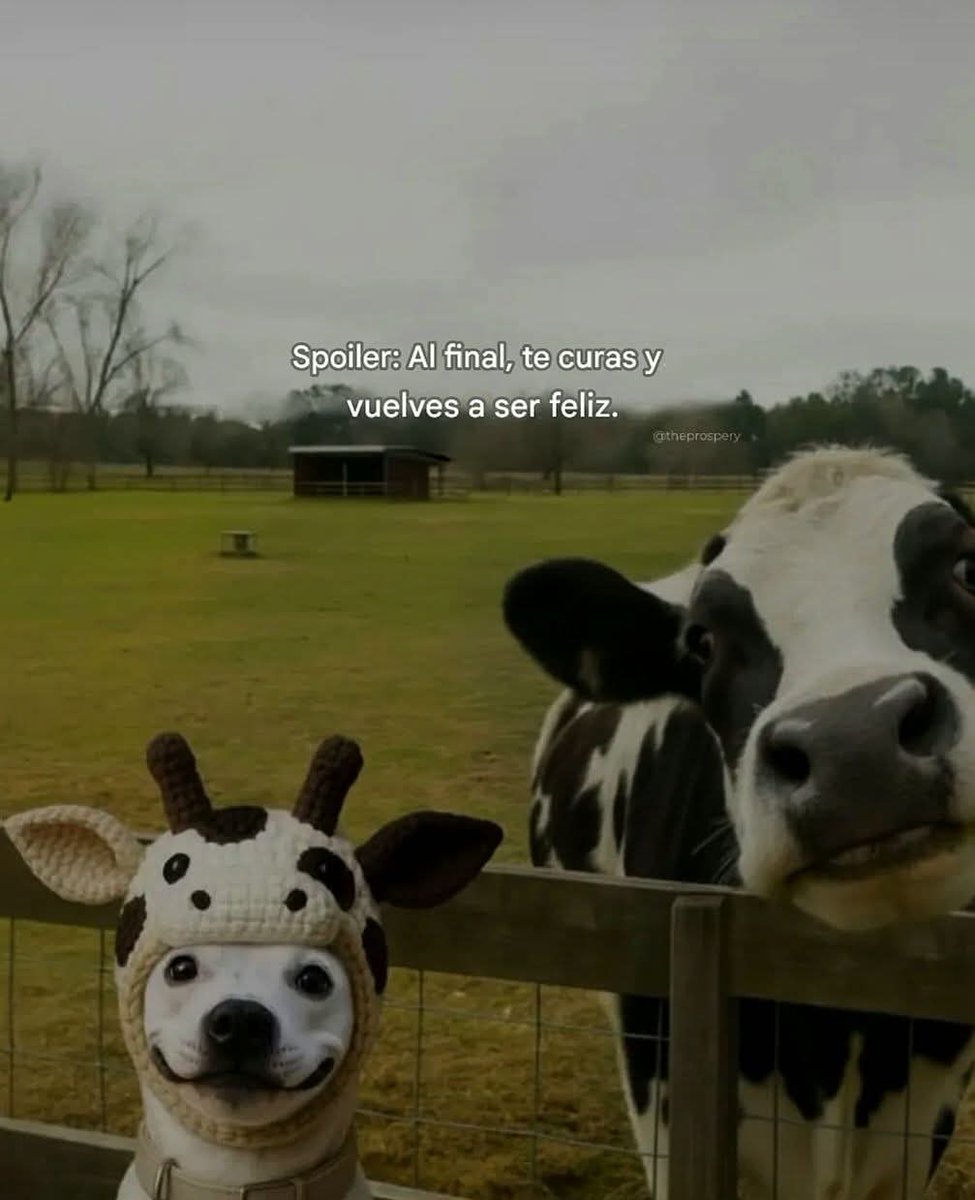 Rhevolver tweet media