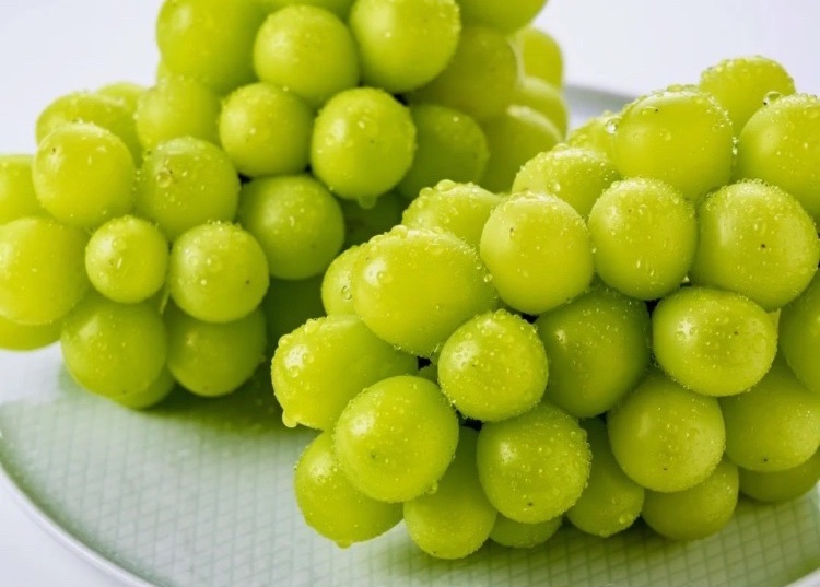 //
山梨産 シャインマスカット6房 5kg箱 を1名様にプレゼント！🎁
\\

【応募方法】フォロー&amp;いいね❤️

【締切】10月20日(月) 23:59 まで