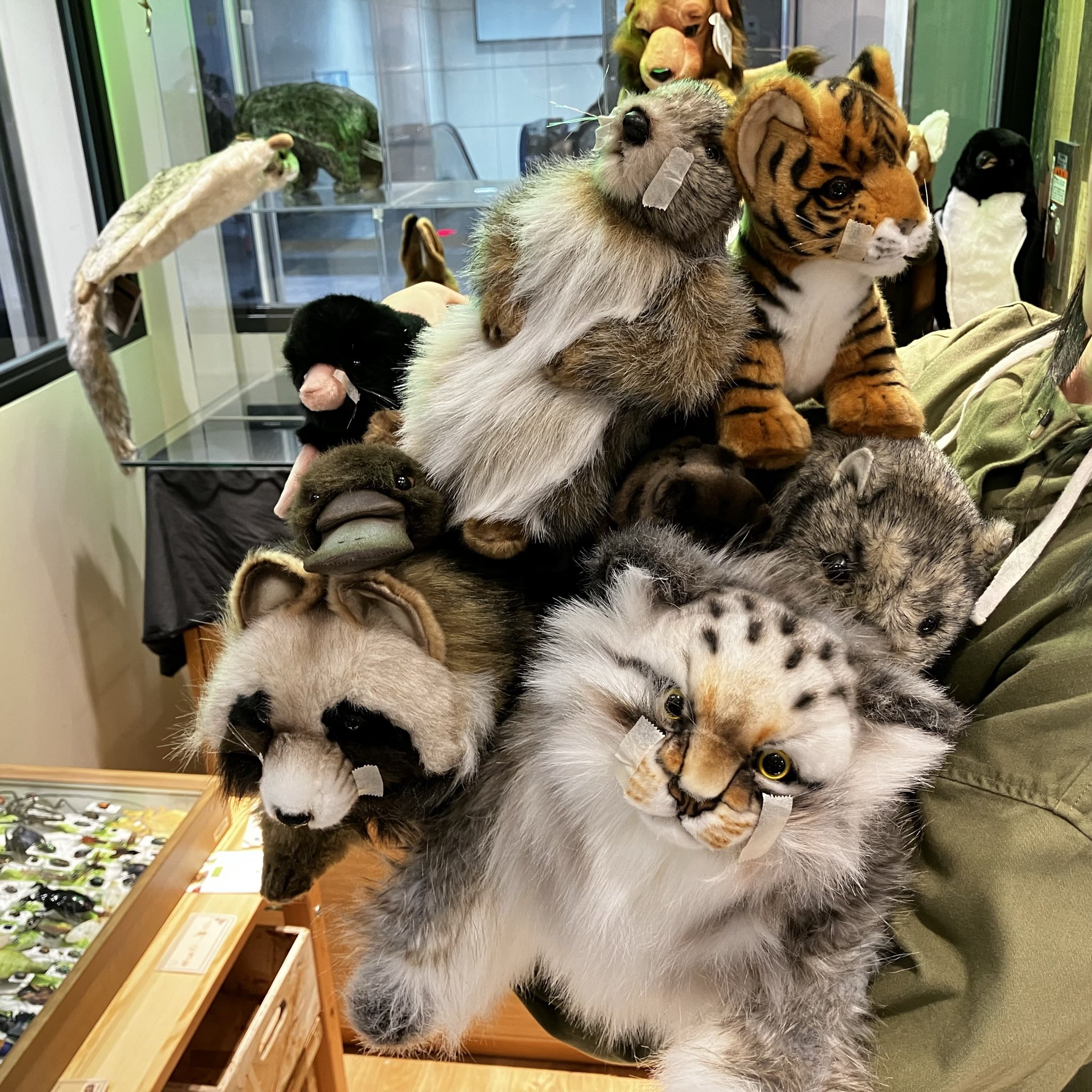 HANSA(ハンサ) (@HANSA_CANAL) / X