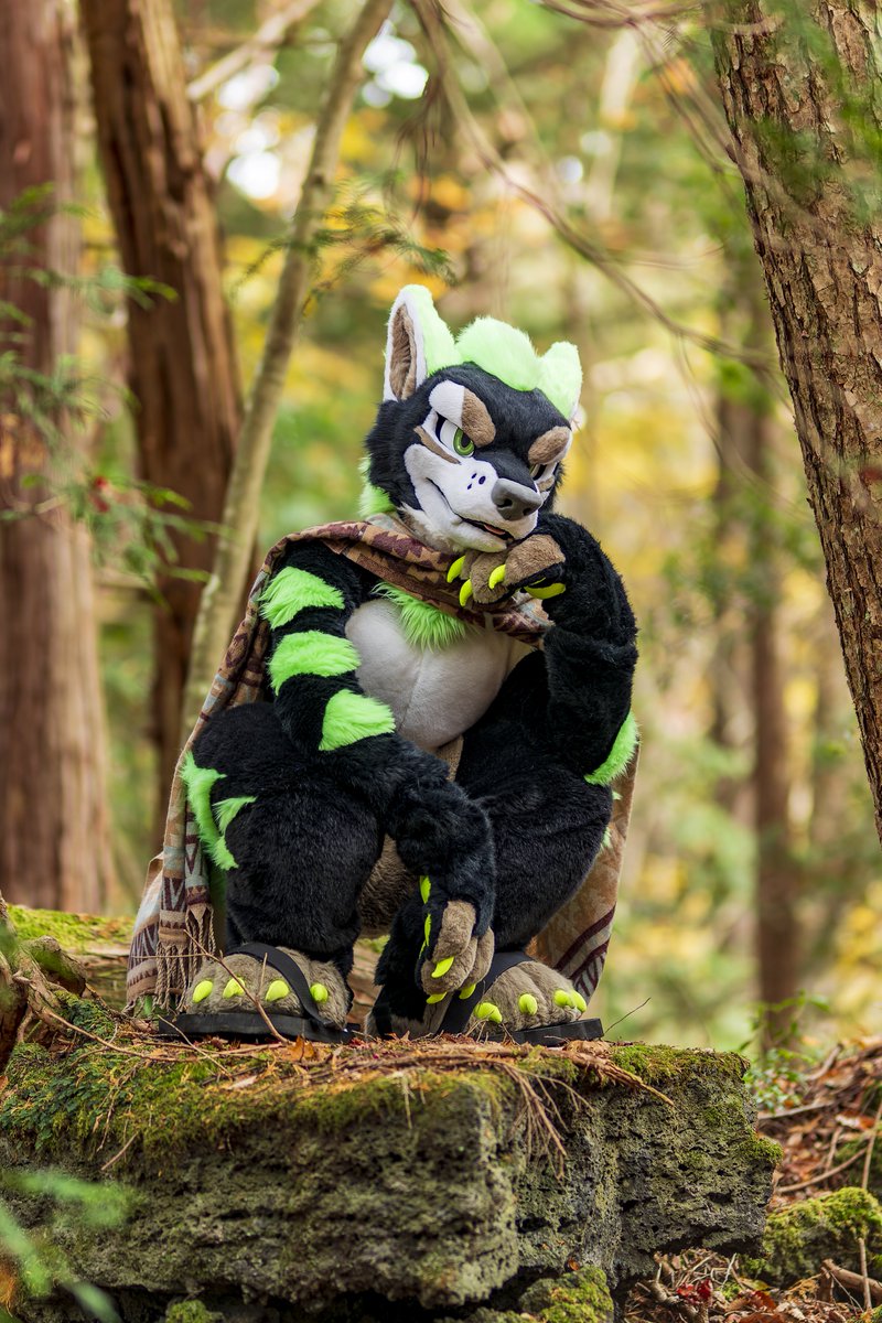 #FursuitFriday 
📷:<a href="/eps_ham/">ハム Ham</a>