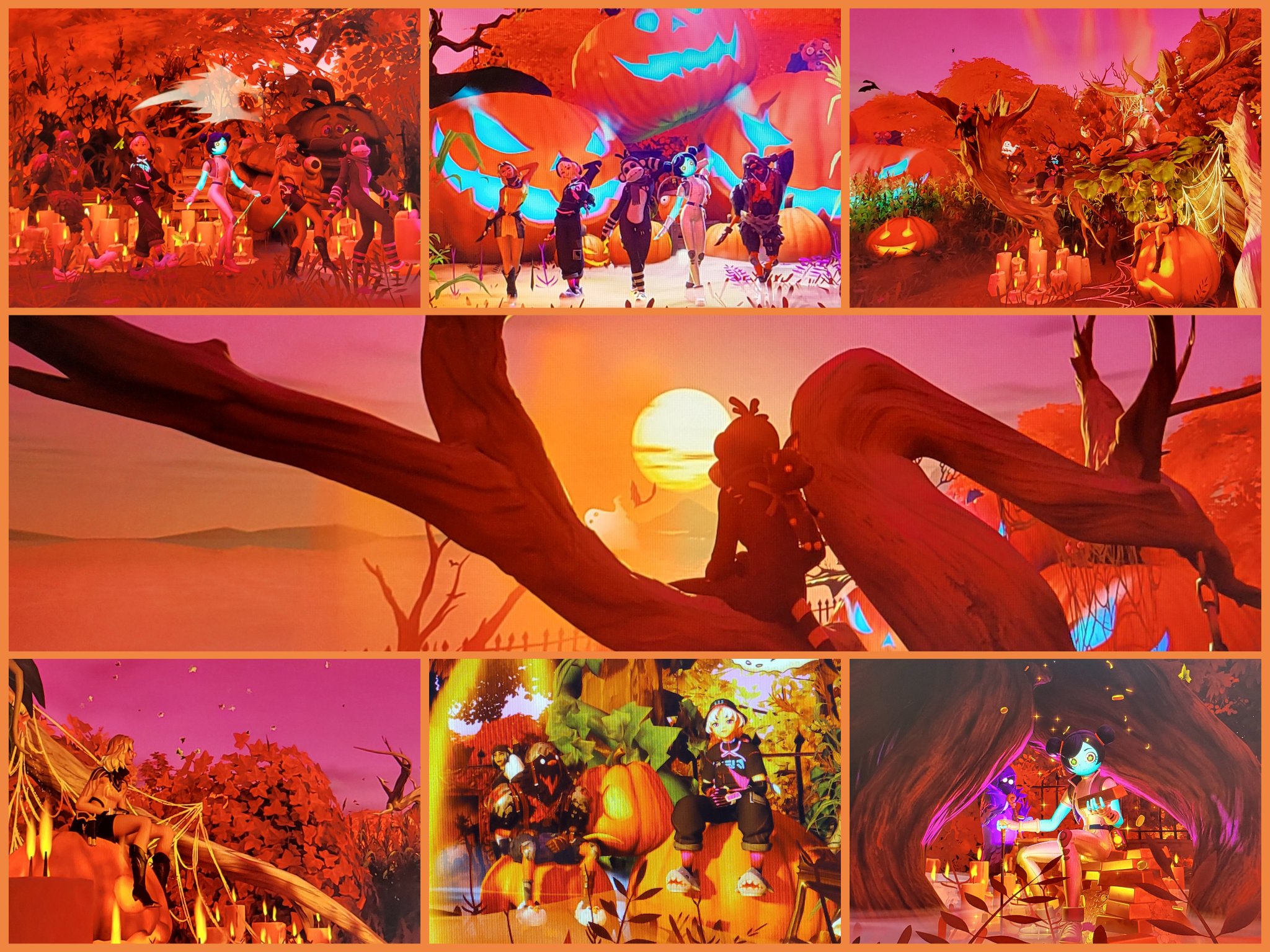 ころころポン太🏡 on X: 