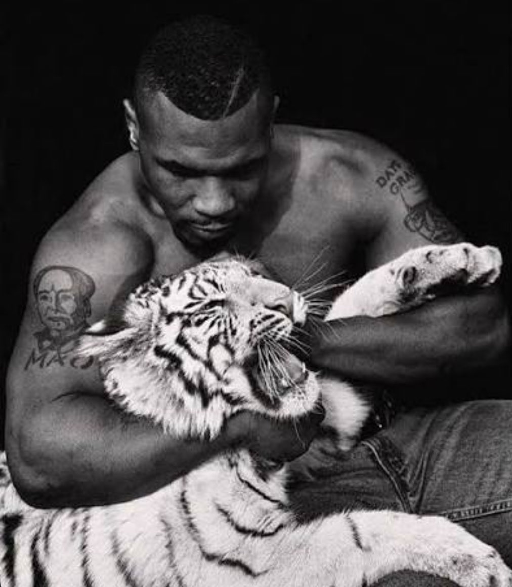 In the Tiger’s silence, true wisdom rises above fleeting storms.⚡️⚡️

7RymmXaMfCixkoEfSCrmAusYYtQjs5ejCKMRZvRMpump