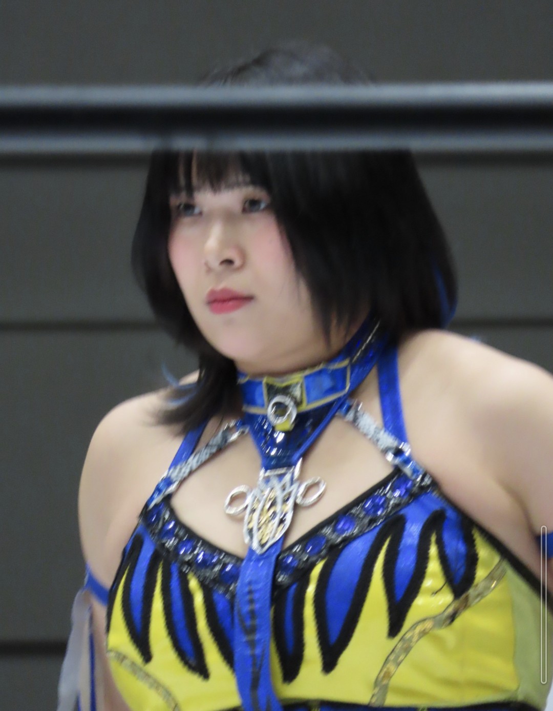 かんちゃん🐶🐶 on X: 