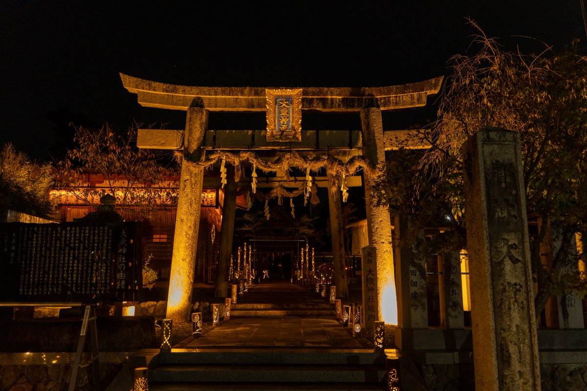 京都西山竹あかり ～幻想夜 2025～ 📍大歳神社 開催地の西山エリア3