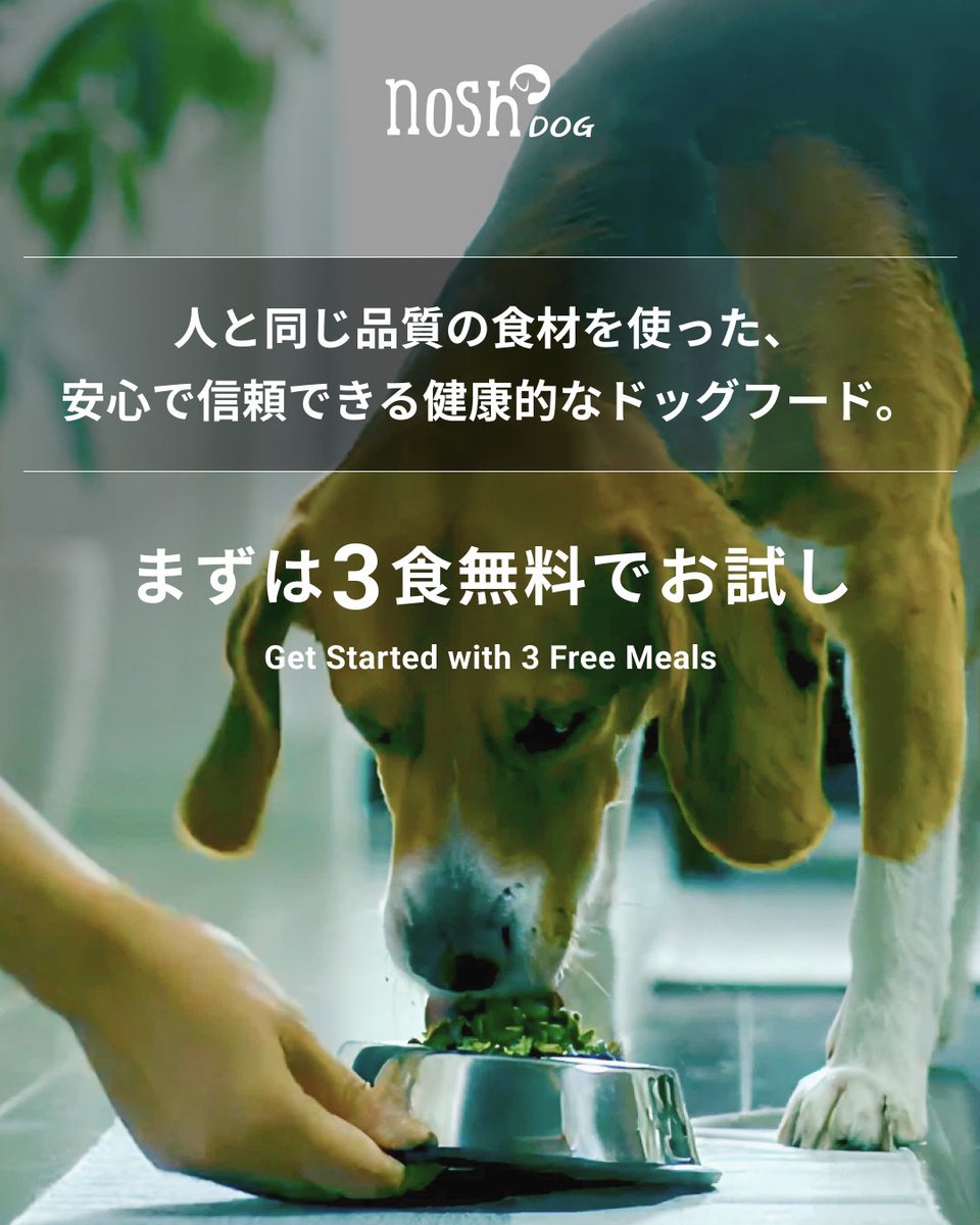 nosh DOG (@nosh_dog_fresh) / Posts / X