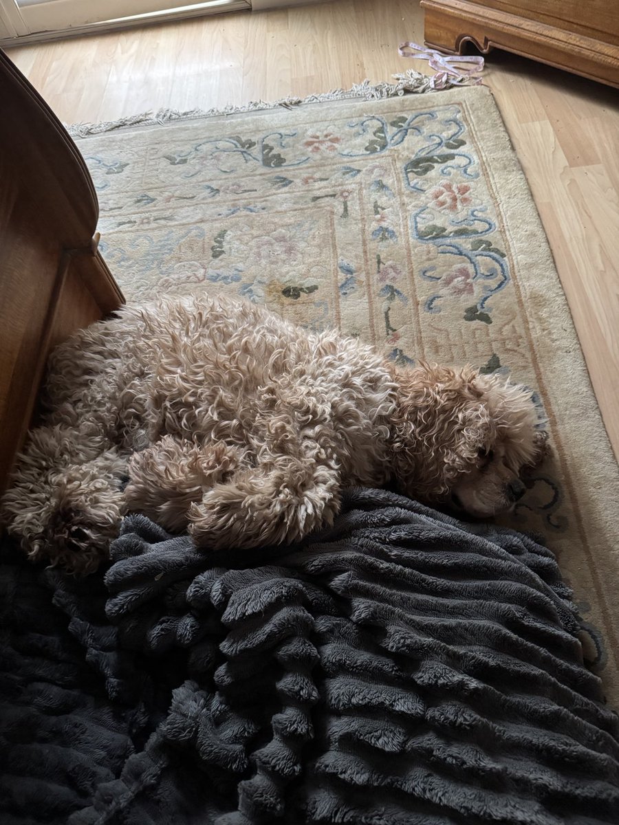 I fell out of bed ☹️

Now I understand why Ronnie always wants #KeepieOnBits