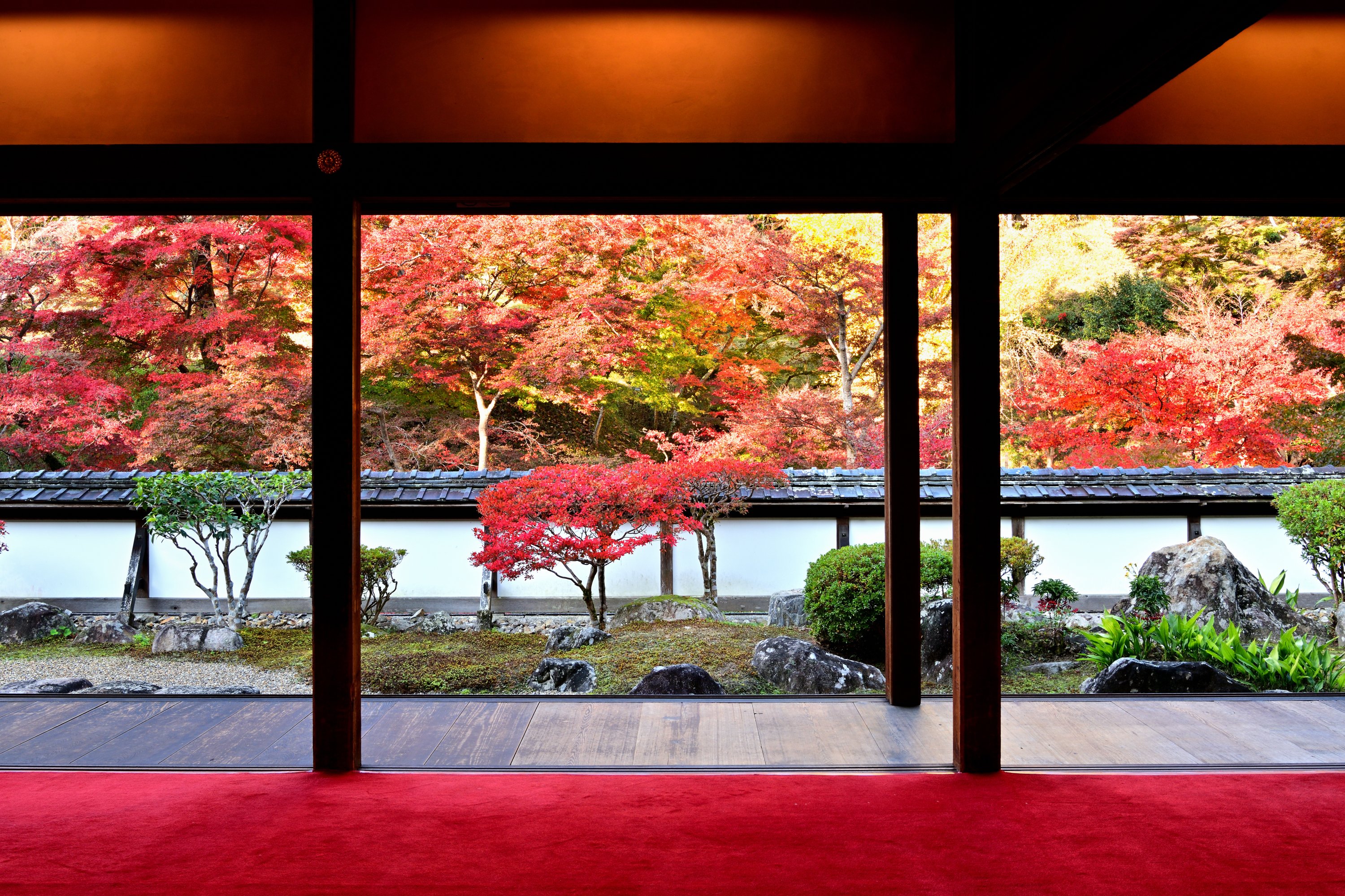 いざいざ奈良 on X: 