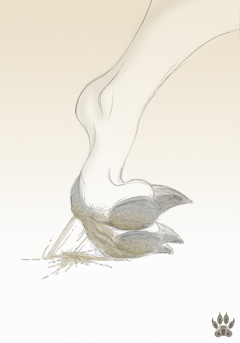 🐾🐌

#wolf #furry #furryfandom #furryart #furryartist #paw #foot #feet #squash #furry #anthro #macro #micro