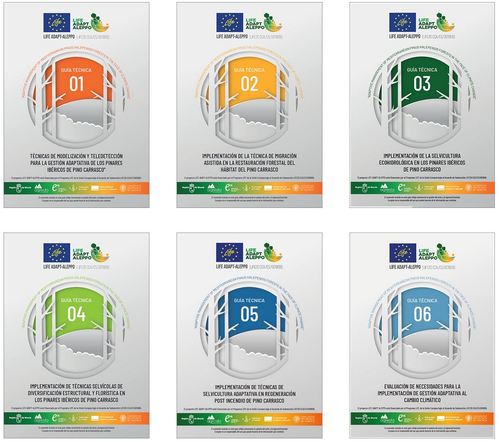 🧐 Consulta las guías técnicas y manuales de buenas prácticas con resultados de trabajos demostrativos de #LIFEproject #adaptaleppo 🌲

👉 adaptaleppo.eu/guias-tecnicas…

<a href="/IEntornoNatural/">I.Entorno Natural</a> <a href="/MurciaForestal/">MURCIA FORESTAL</a> <a href="/UPV/">Universitat Politècnica de València</a> <a href="/ETSEAFIV_UdL/">ETSEAFIV_UdL</a> <a href="/agrestascoop/">AGRESTA S. Coop.</a> <a href="/EtsiamAb/">ETSIAMB ALBACETE</a>
