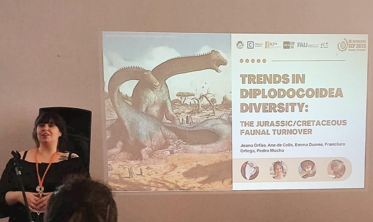 Patrones de diversidad y biogeográficos de #dinosaurios #saurópodos diplodocoideos, comunicación presentada por <a href="/JoanaOrfao/">Joana Órfão</a> et al. en las XL Jornadas de la <a href="/Sepaleontologia/">Sepaleontologia</a> celebradas en #Aracena (#Huelva):

▶️ godzillin.blogspot.com/2025/10/patron…
#SEP2025 #dinosaur #paleontology #meeting