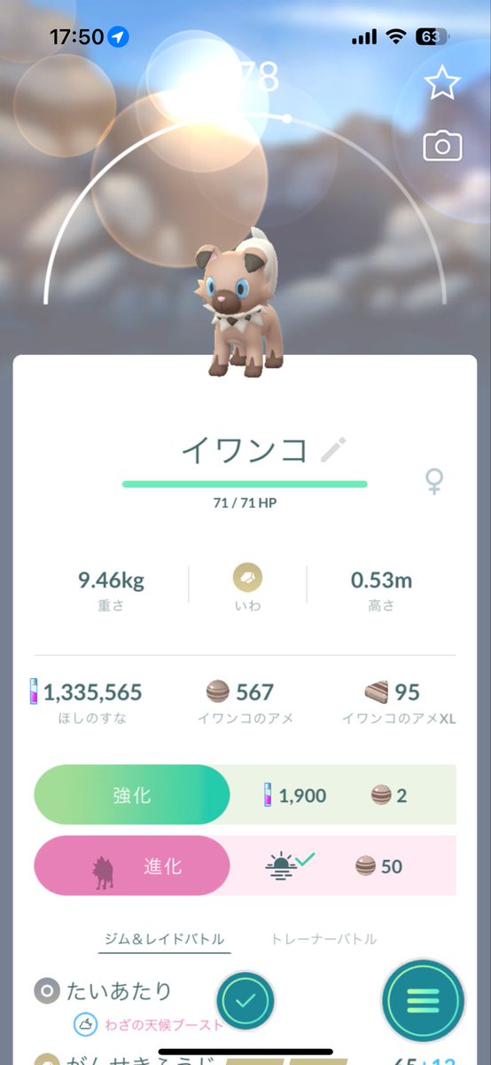 noshipokego's tweet photo. やっと捕まえられた😅 https://t.co/6JgYBjCsaY