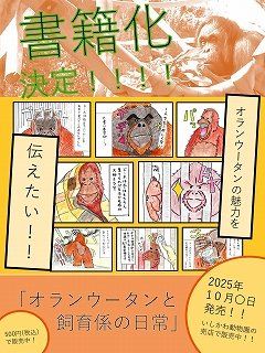 \お知らせ🔈/
１１月４日 #ボルネオオランウータン の #ドーネ が旭山動物園へ移動することとなりました。
そこで、１０月２６日（日）にお見送りイベントを開催いたします。
ドーネに会えるのもあと２週間ほど、ぜひ会いに来てください🍀

詳しくはこちら
ishikawazoo.jp/topics/index.h…

#いしかわ動物園