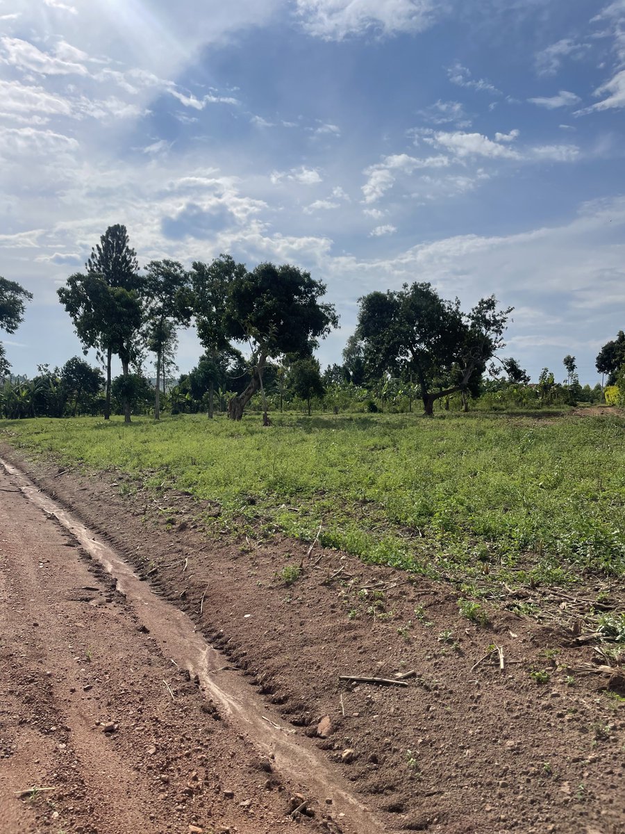 bruno_akampa's tweet image. 50x100ft Plots of Land for Sale. Titled.

• Busukuma-Kasozi  —28M
• Kiwenda —28M
• Busiika —16M
• Kakiri—14M
• Nakasajja—28M
• Sisa—45M

@Absolproperties 
📞 0704408763