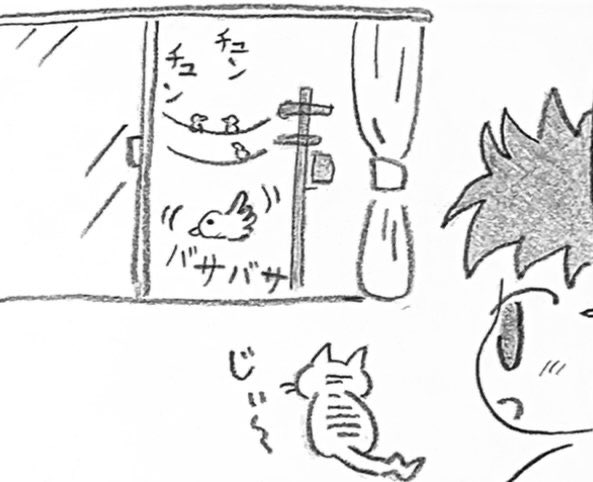 🐈‍⬛ 飼い猫あるある

『外の鳥が気になる』

#猫 #猫のいる暮らし