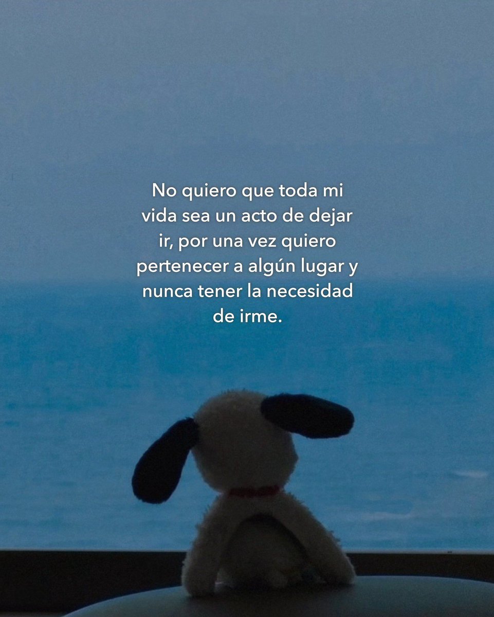 Bandidosfrasess's tweet image. 