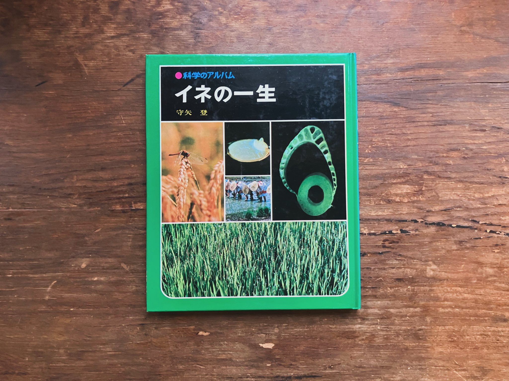 科学のアルバム 科学のアルバム あかね書房 全巻